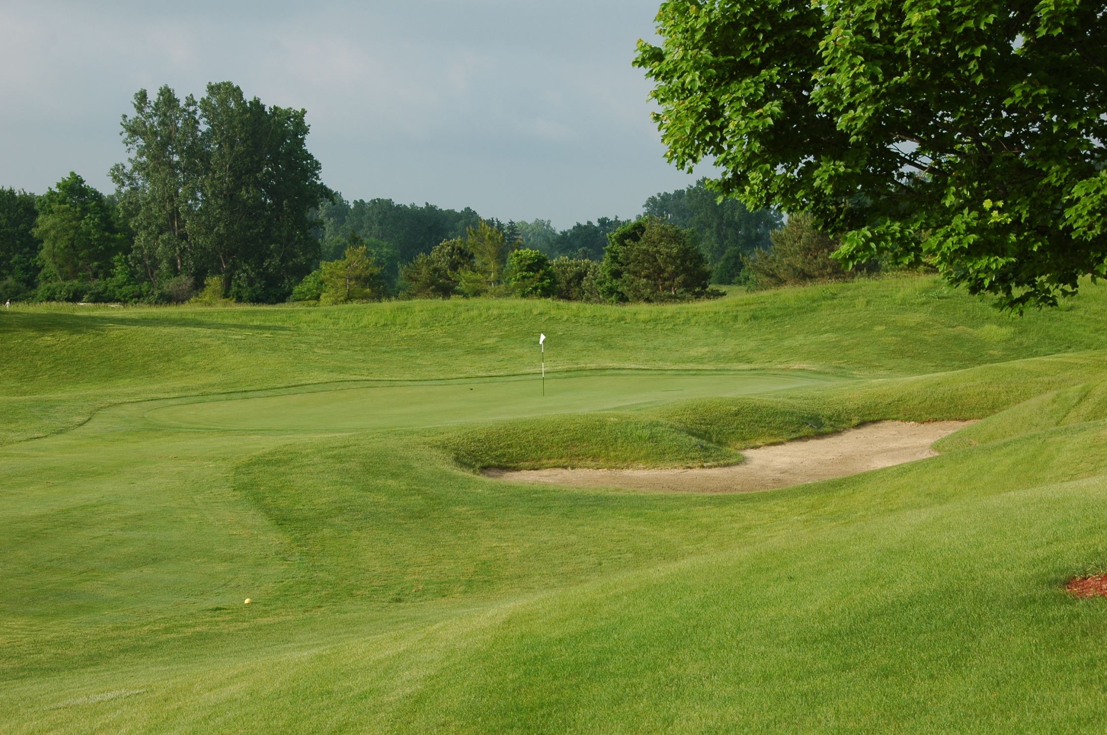 The beautiful scenery of the Lakes of Taylor Golf Course.